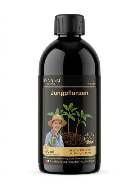 Jungpflanzen